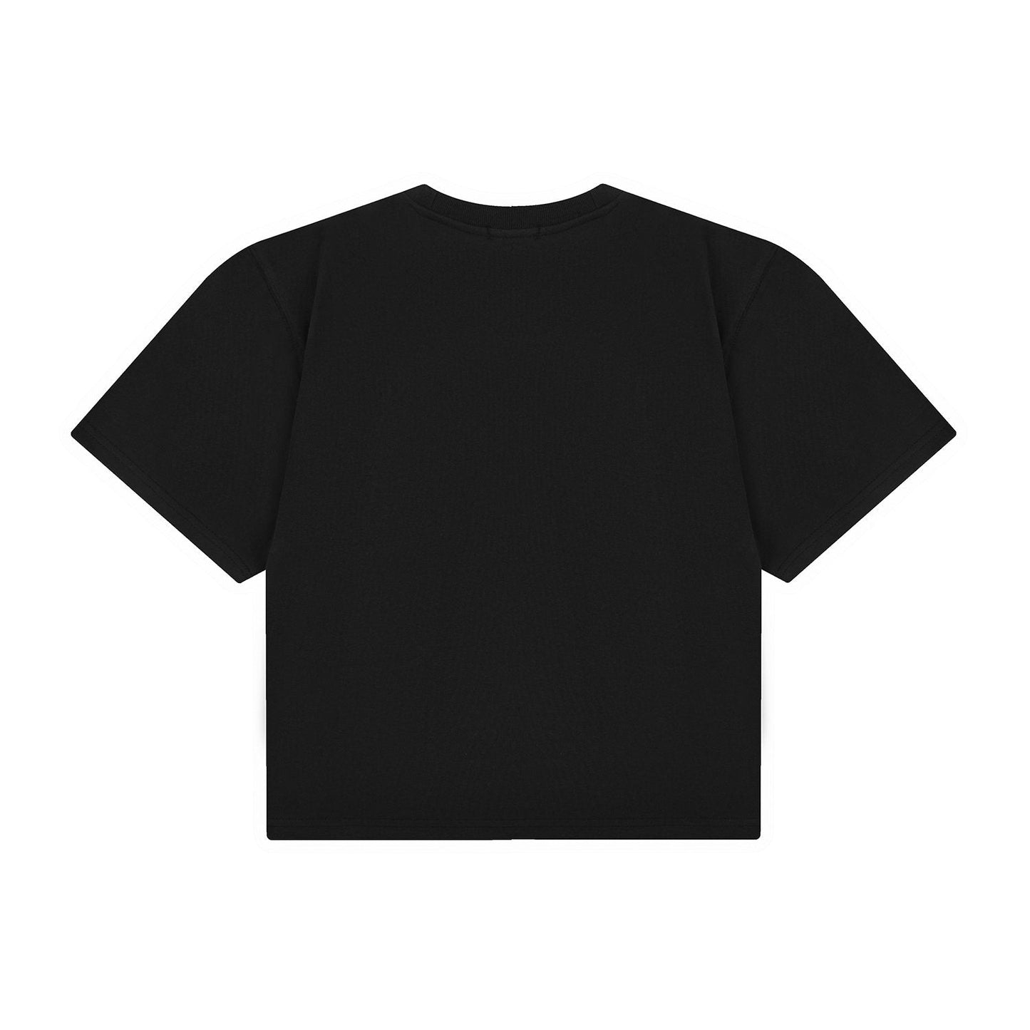 Test2-Ralph Lauren Women's Oversized Drop-Shoulder Pony Embroidered T-Shirt — back