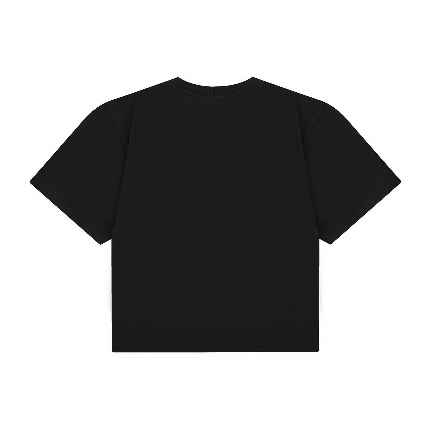Test2-Ralph Lauren Women's Oversized Drop-Shoulder Pony Embroidered T-Shirt — back